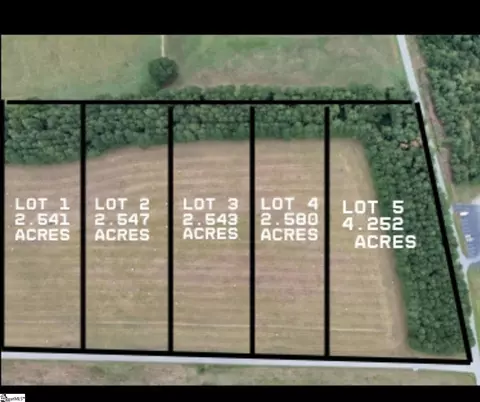 00 Richey Rd #LOT 4, Pelzer, SC 29669 photo 10