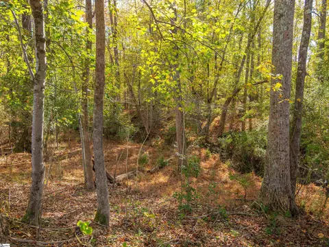 013 Taylor Rd #LOT 13, Honea Path, SC 29654 photo 48