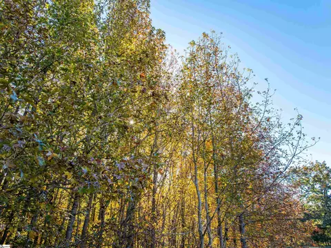 013 Taylor Rd #LOT 13, Honea Path, SC 29654 photo 39