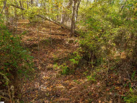 013 Taylor Rd #LOT 13, Honea Path, SC 29654 photo 50
