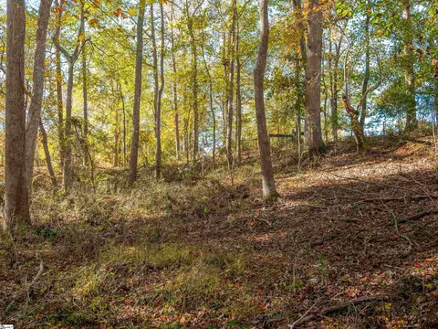 013 Taylor Rd #LOT 13, Honea Path, SC 29654 photo 46