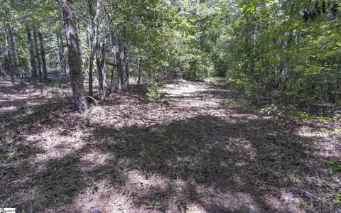 224 Old Oak Tree Rd, Waterloo, FL 29384 photo 6
