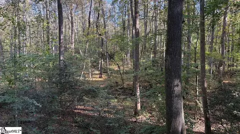 00 Traynham Rd, Honea Path, SC 29654 photo 9