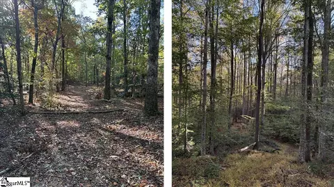 00 Traynham Rd, Honea Path, SC 29654 photo 10