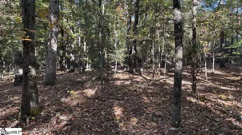 00 Traynham Rd, Honea Path, SC 29654 photo 8