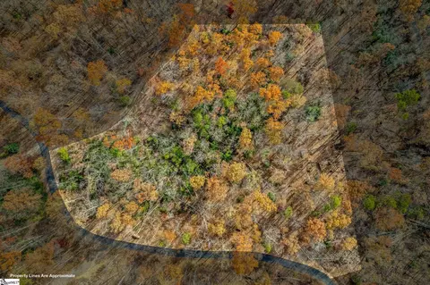 45 Danna View Ct, Marietta, SC 29661