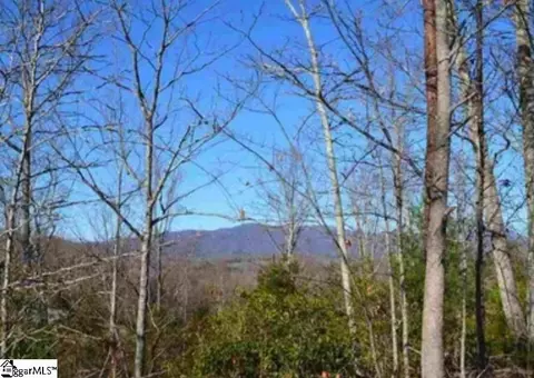1130 Packs Mountain Ridge Rd, Taylors, SC 29687