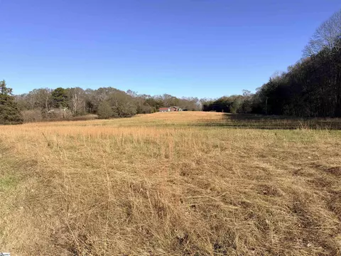 00 Highway 101 #LOT 3, Woodruff, SC 29388