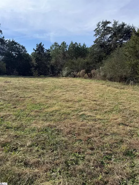 00 High Point Rd, Saluda, SC 29138 photo 5