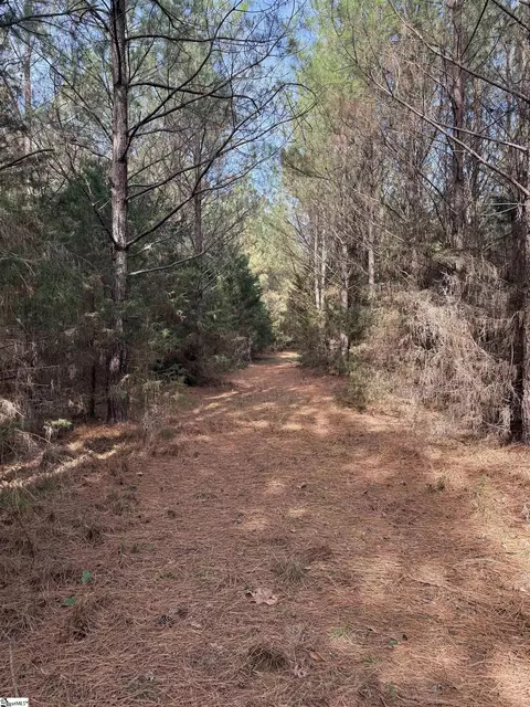 00 High Point Rd, Saluda, SC 29138 photo 3