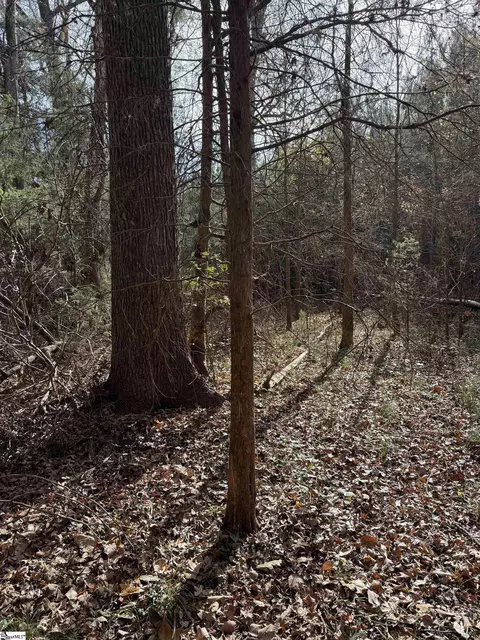 00 High Point Rd, Saluda, SC 29138 photo 4