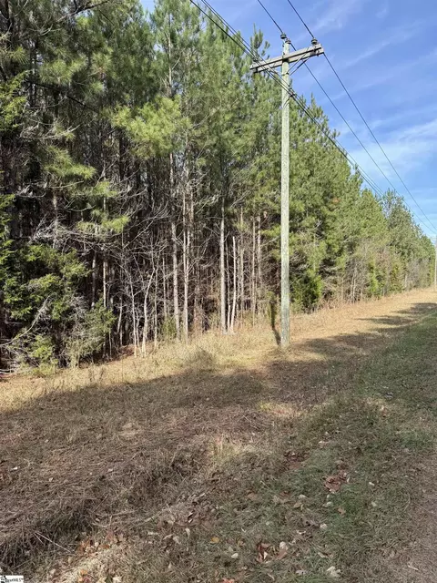 00 High Point Rd, Saluda, SC 29138 photo 6