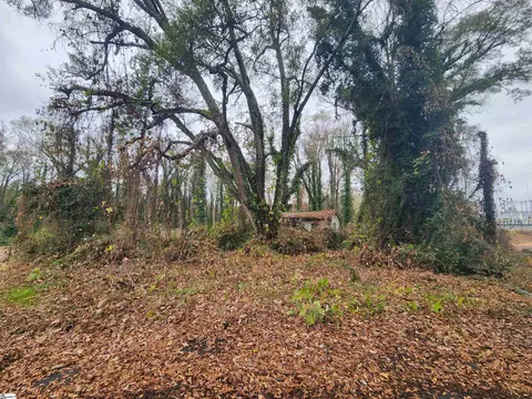 103 Jenkins Pl, Clemson, SC 29631