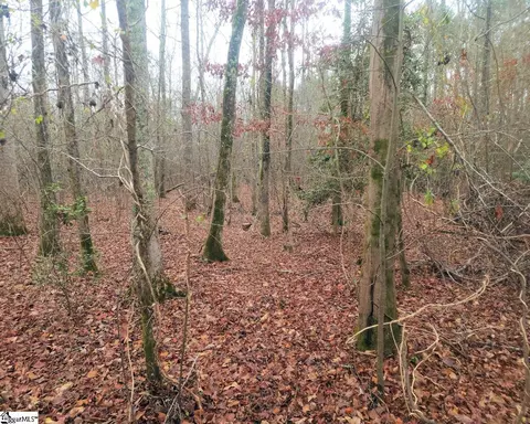 Scott Lane, Pelzer, SC 29669 photo 11