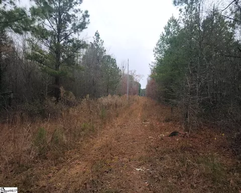 Scott Lane, Pelzer, SC 29669 photo 3