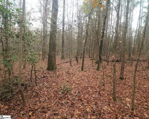 Scott Lane, Pelzer, SC 29669 photo 12