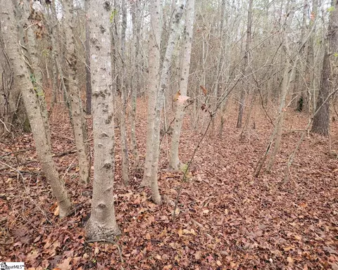 Scott Lane, Pelzer, SC 29669 photo 4