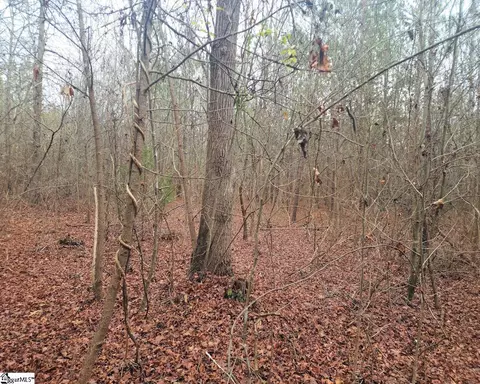 Scott Lane, Pelzer, SC 29669 photo 5