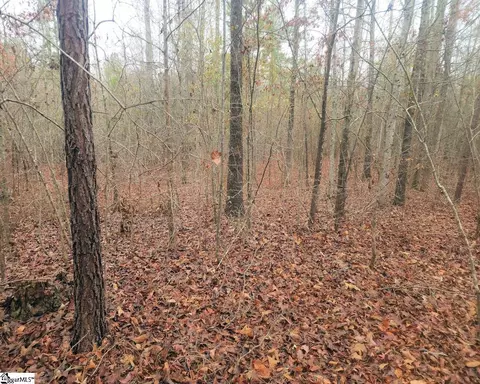 Scott Lane, Pelzer, SC 29669 photo 14