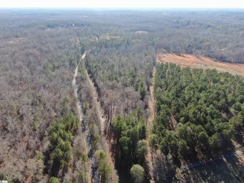 Scott Lane, Pelzer, SC 29669 photo 16
