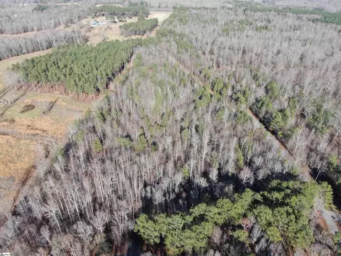 Scott Lane, Pelzer, SC 29669 photo 17
