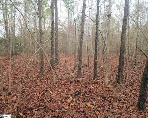 Scott Lane, Pelzer, SC 29669 photo 6