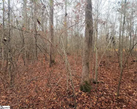 Scott Lane, Pelzer, SC 29669 photo 8