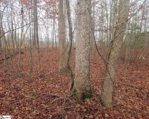 Scott Lane, Pelzer, SC 29669 photo 10