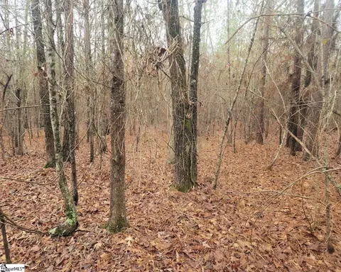 Scott Lane, Pelzer, SC 29669 photo 15