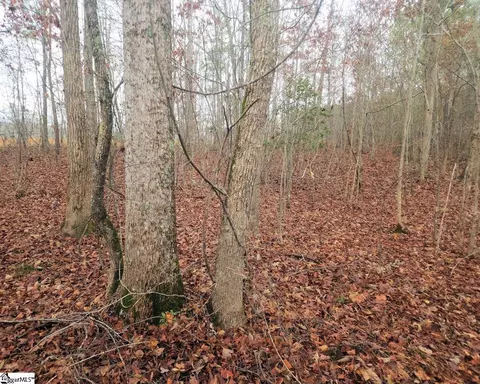 Scott Lane, Pelzer, SC 29669 photo 9