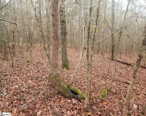 Scott Lane, Pelzer, SC 29669 photo 13