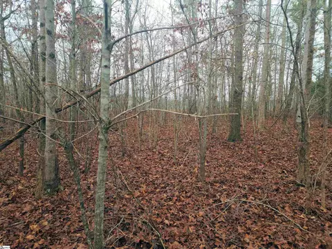 Scott Lane, Pelzer, SC 29669 photo 7