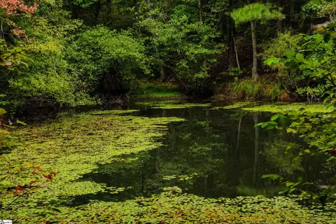 S. Packs Mtn Road, Taylors, SC 29687