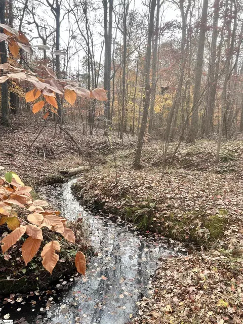 00 Harris Springs Rd, Cross Hill, SC 29332