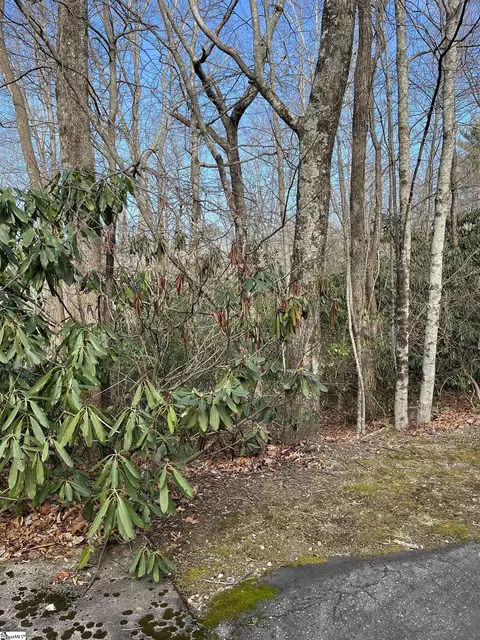 tbd Cliff Ridge Dr, Greenville, SC 29635