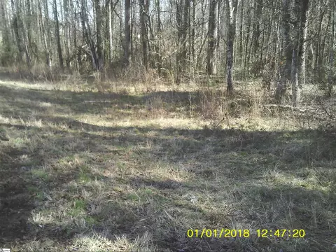 513 N Martin Rd, Easley, SC 29640