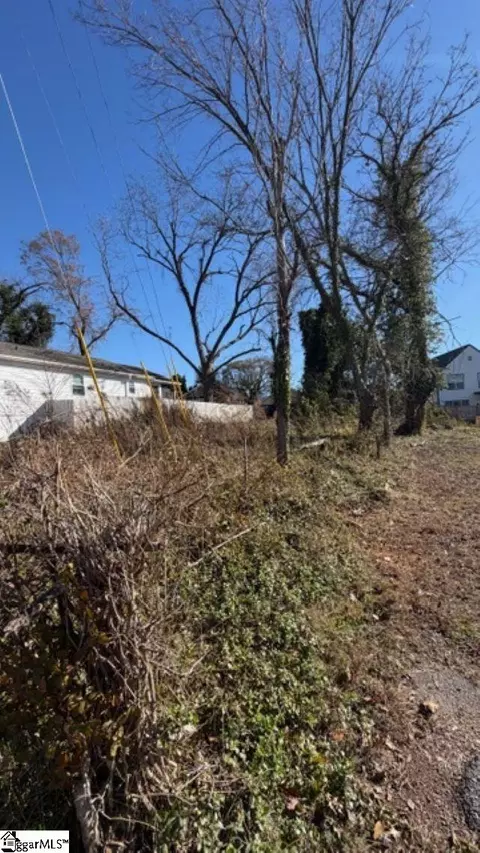 207 Maloy St, Greenville, SC 29601