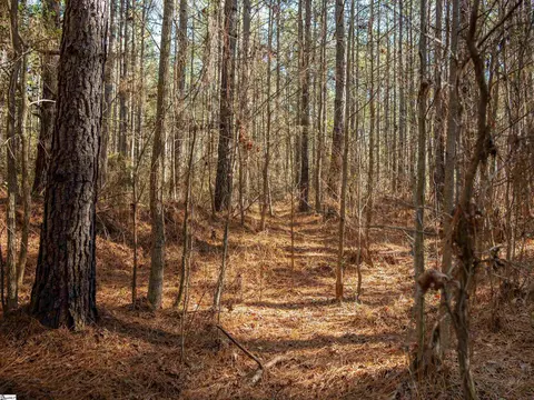 02 Mill Pine Rd, Liberty, SC 29657 photo 13