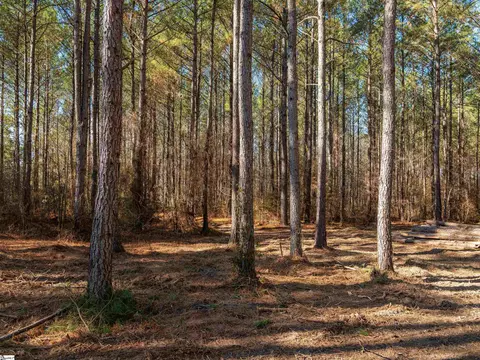02 Mill Pine Rd, Liberty, SC 29657 photo 14