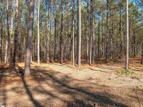 02 Mill Pine Rd, Liberty, SC 29657 photo 12