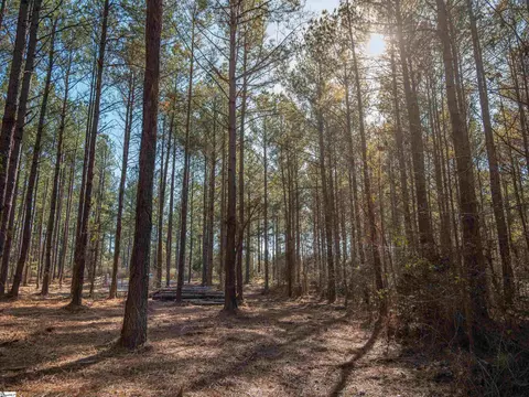02 Mill Pine Rd, Liberty, SC 29657 photo 9