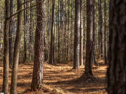 02 Mill Pine Rd, Liberty, SC 29657 photo 18