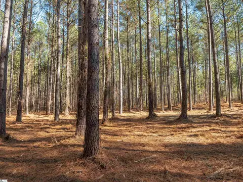 02 Mill Pine Rd, Liberty, SC 29657 photo 8