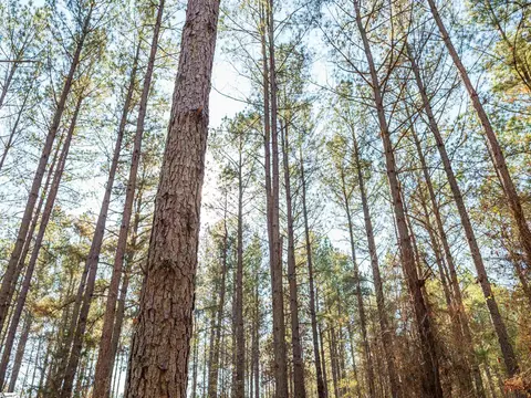 02 Mill Pine Rd, Liberty, SC 29657 photo 15