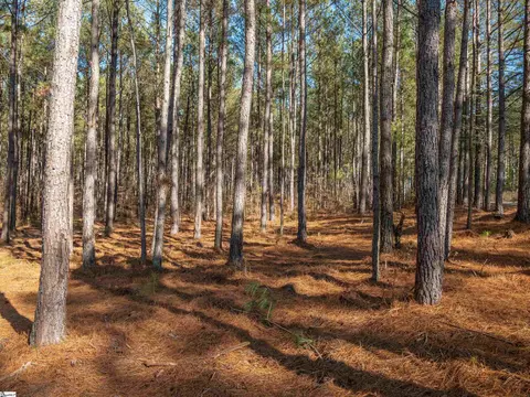 02 Mill Pine Rd, Liberty, SC 29657 photo 11