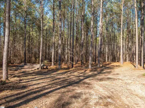 02 Mill Pine Rd, Liberty, SC 29657 photo 7