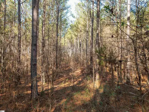 02 Mill Pine Rd, Liberty, SC 29657 photo 17