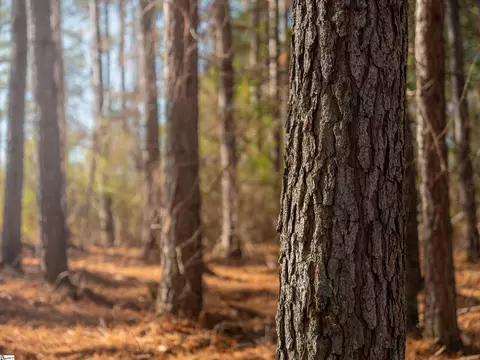 02 Mill Pine Rd, Liberty, SC 29657 photo 21