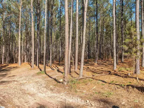 02 Mill Pine Rd, Liberty, SC 29657 photo 10