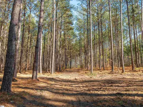 02 Mill Pine Rd, Liberty, SC 29657 photo 2